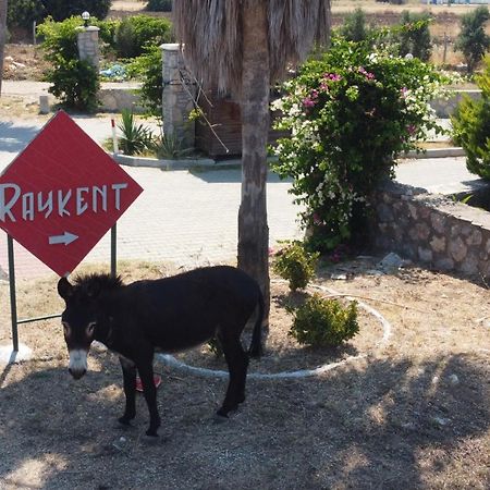 Villa Ernis - Datca Raykent Tatil Sitesi - Kiralik Eksteriør billede