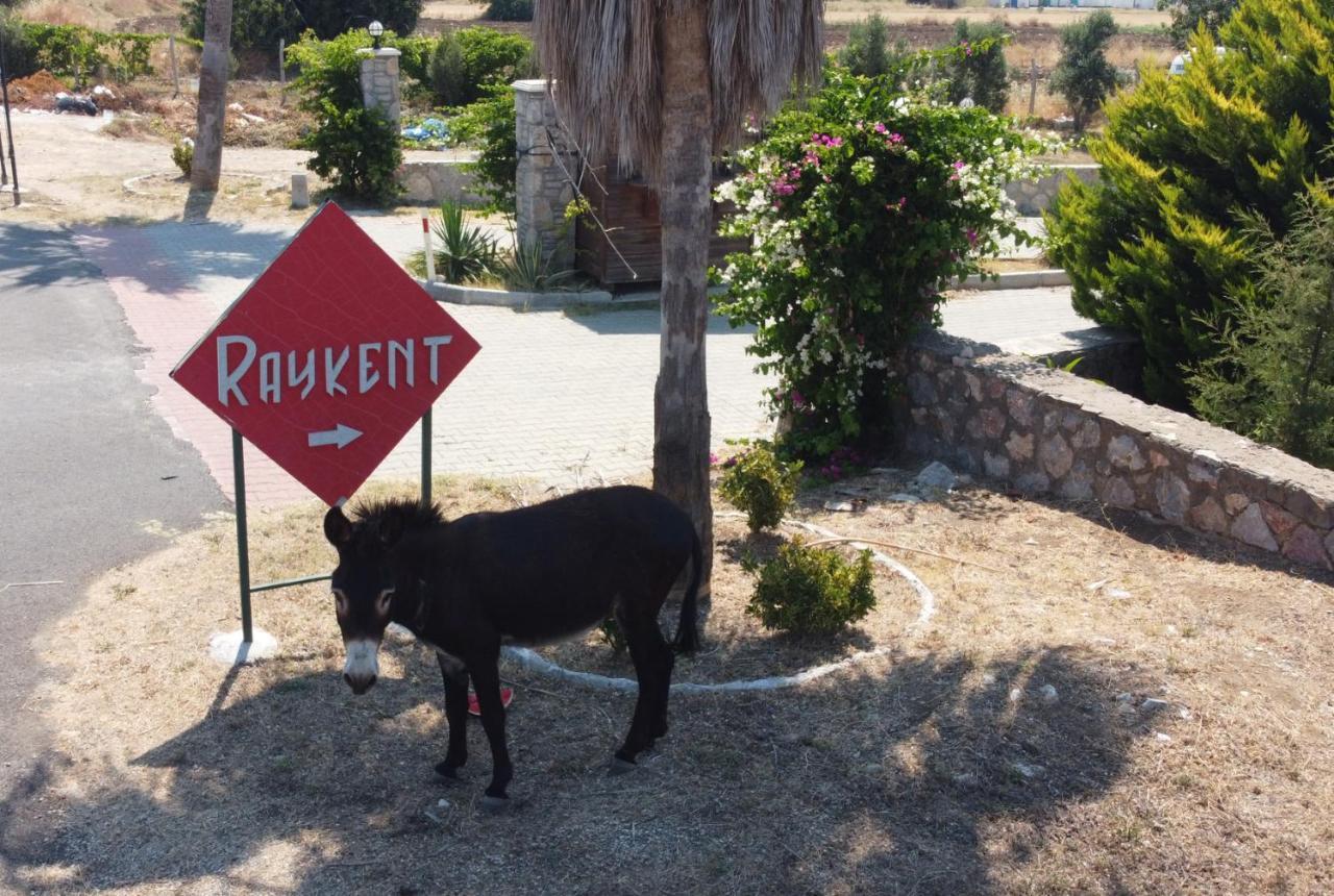 Villa Ernis - Datca Raykent Tatil Sitesi - Kiralik Eksteriør billede